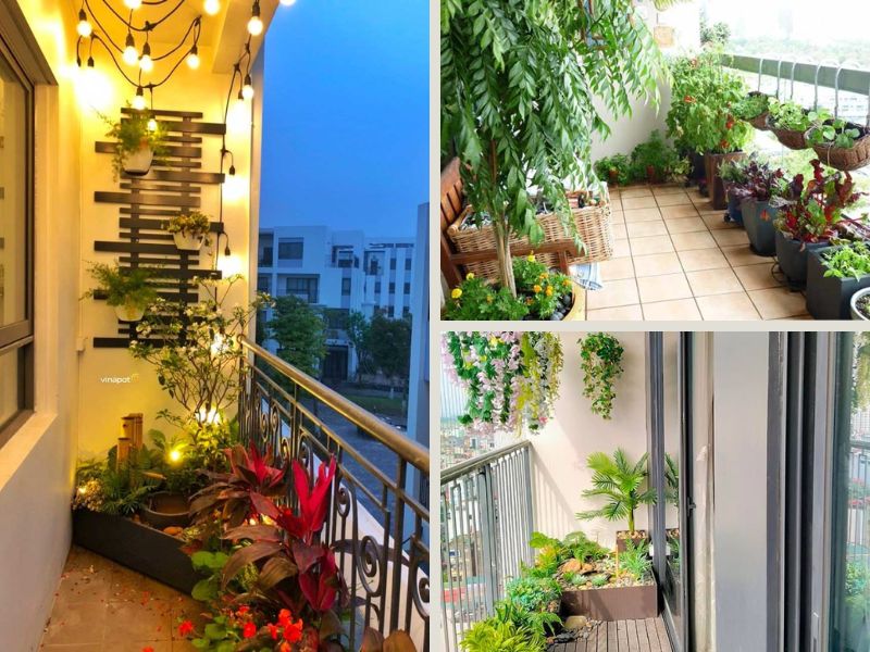 Tận dụng ban công để trồng cây xanh